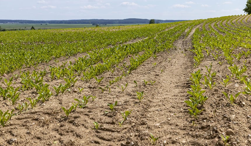 Unsuitable tyres accentuate soil compaction
