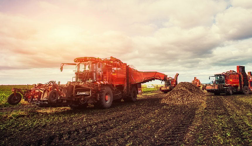 Extensive soil compaction around the silos