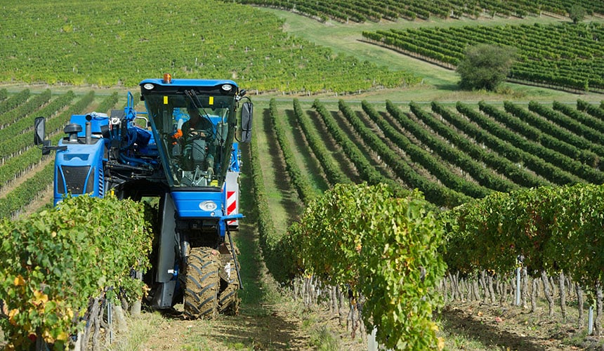 Vineyard tyres are able to work on steep slopes