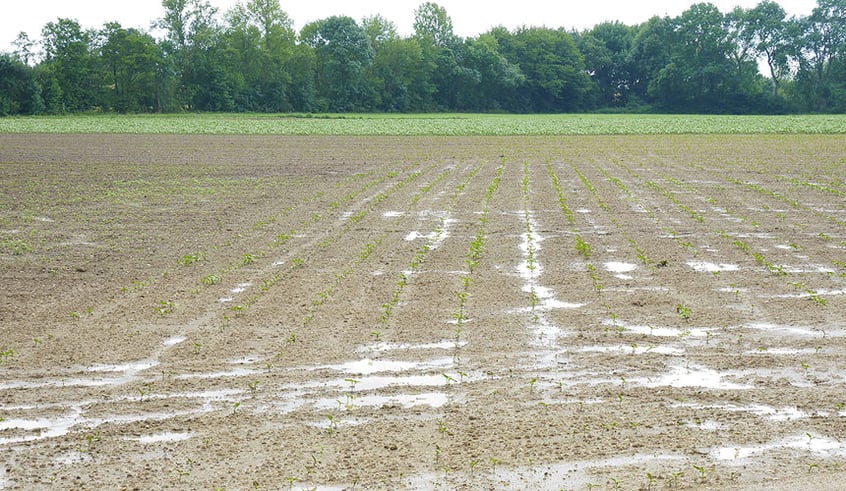 Excess surface water