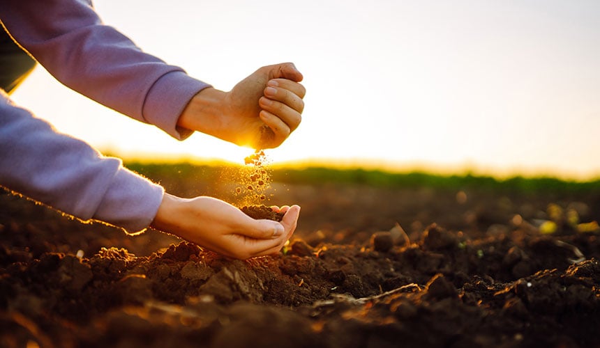 Less pressure to preserve soil fertility