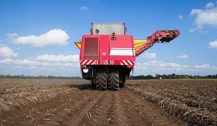 Maxi Traction Harvest tyres allow you to lower the inflation pressure despite the weight of the potato harvester