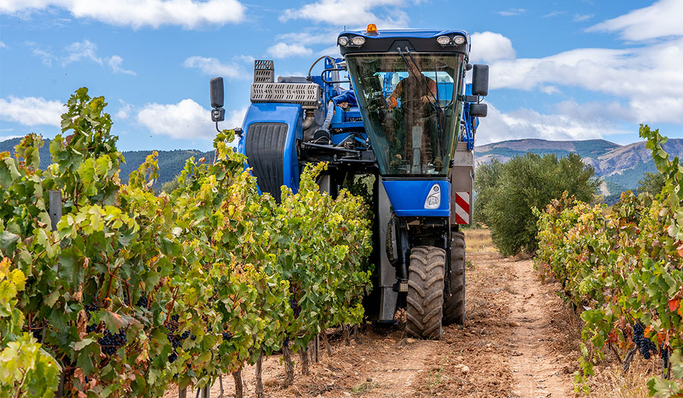Vineyard tyres to avoid soil compaction