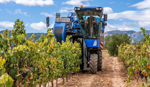 Vineyard tyres: why choose a tyre that is adapted to vine growing?