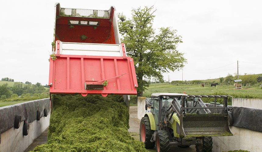 Maximum tyre pressure will be useful for packing down silage silos
