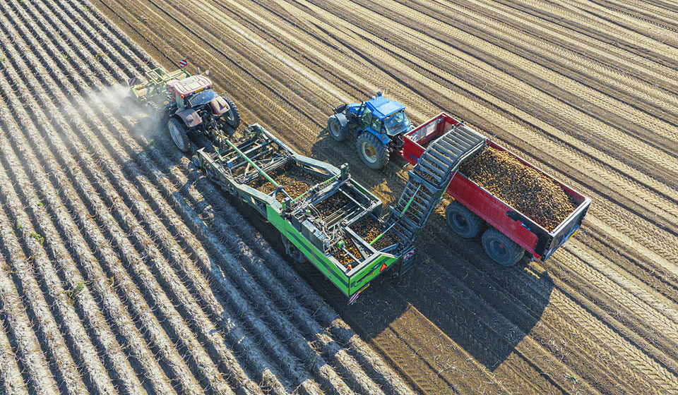 Which agricultural tyre for a potato harvester