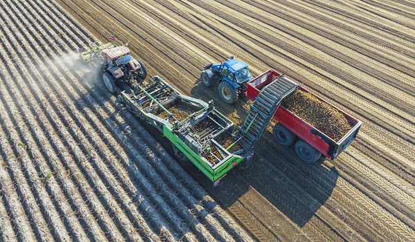 Which agricultural tyre for a potato harvester?