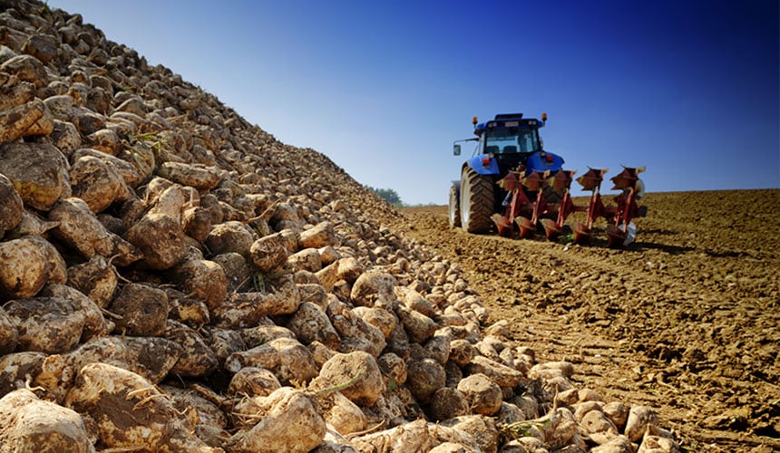 Tilling should suffice for soil decompaction in dry conditions