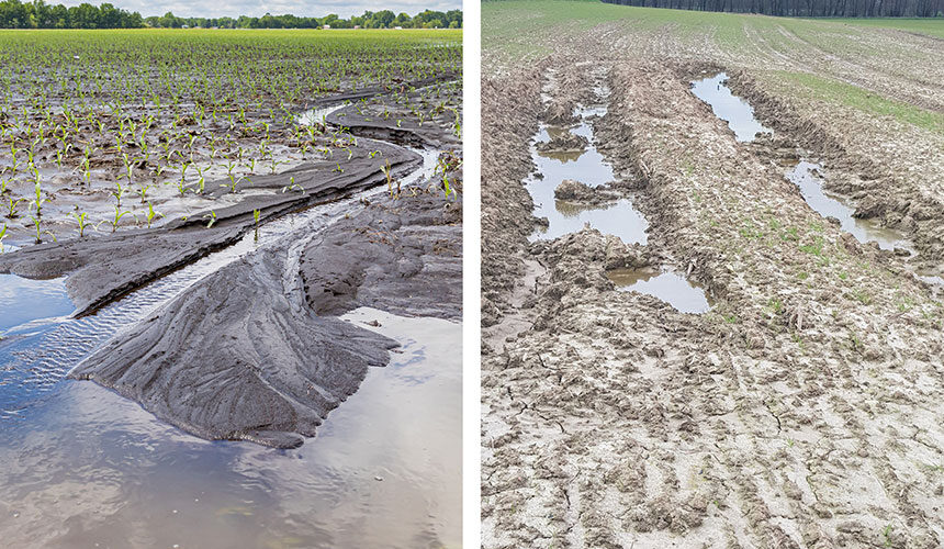 Stagnation of water and run-off on clay soil